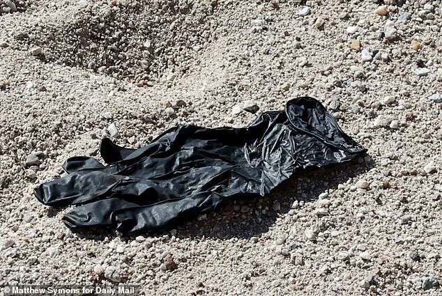 DNA Evidence from Glove Offers Critical Lead in Nancy Guthrie Disappearance