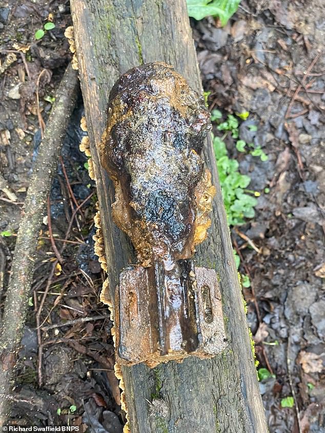 Dorset Father and Son's Magnet Fishing Trip Turns into High-Stakes Operation After Discovering Live WWII Mortar Shell