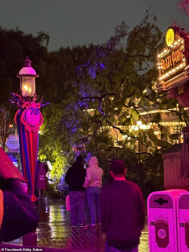 Dramatic Turn in Romantic Disneyland Evening: Tree Falls on Couple During Valentine's Photo Op