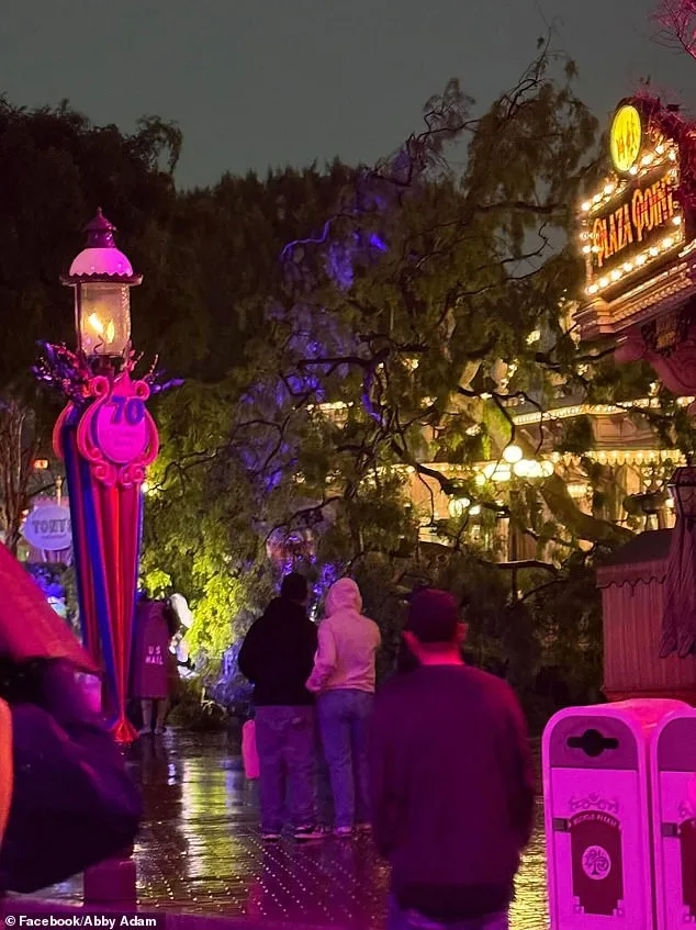 Dramatic Turn in Romantic Disneyland Evening: Tree Falls on Couple During Valentine's Photo Op