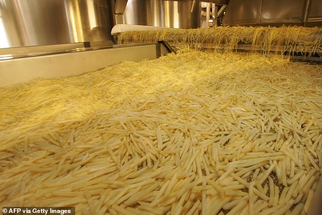 Frozen Empire: The McCain Family's Legacy of Feud, Legal Battles, and Unrelenting Drama