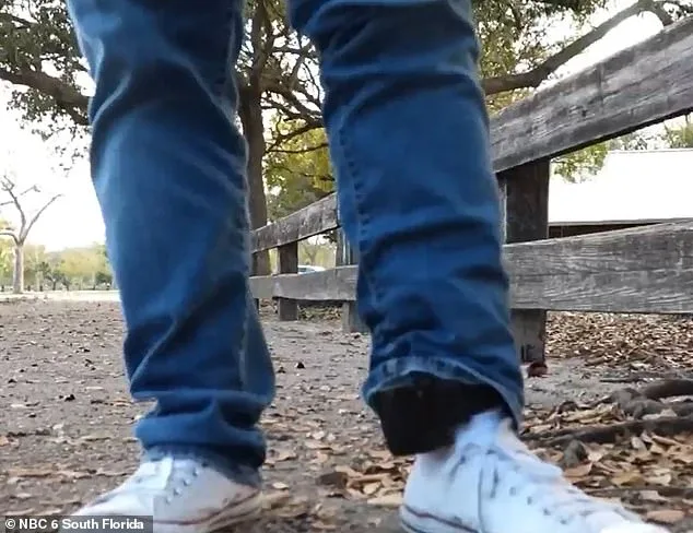 IT Specialist Detained by CBP Despite Legal Work Papers