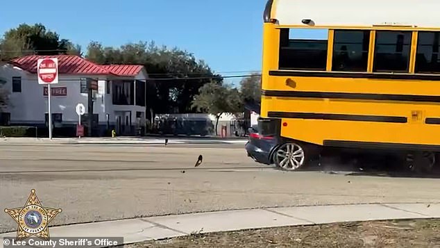 Jaguar Crashes into School Bus in Fort Myers; No Students Injured
