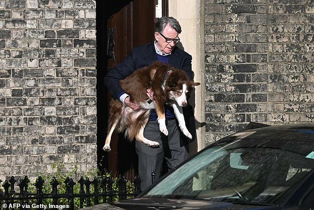 Lord Mandelson Resurfaces Amid Epstein Scandal, Faces Calls for Congressional Testimony