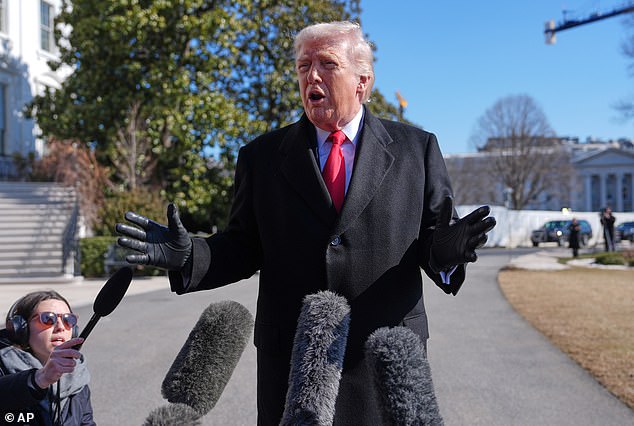 Nancy Guthrie Disappearance Case Highlights Federal-Local Tensions as Trump Criticizes Sheriff's Office