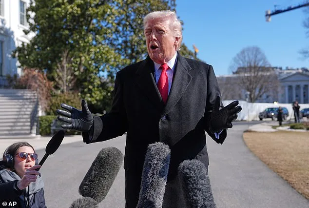 Nancy Guthrie Disappearance Case Highlights Federal-Local Tensions as Trump Criticizes Sheriff's Office