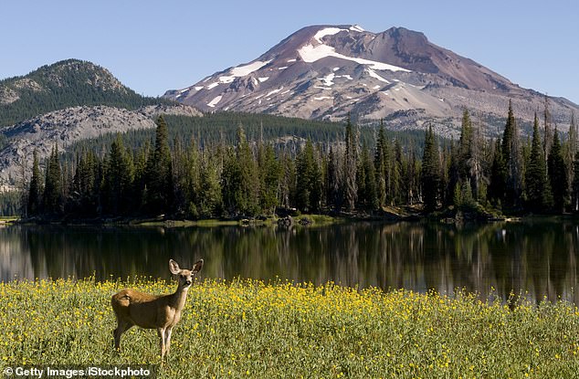Oregon Considers Banning Hunting and Fishing in Landmark Ballot Initiative