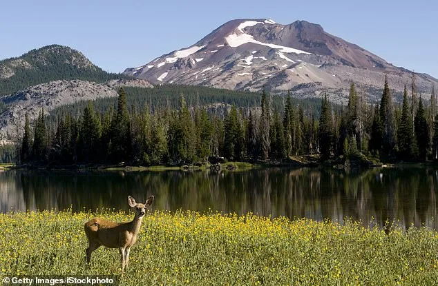 Oregon Considers Banning Hunting and Fishing in Landmark Ballot Initiative