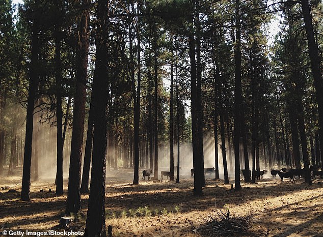 Oregon Considers Banning Hunting and Fishing in Landmark Ballot Initiative