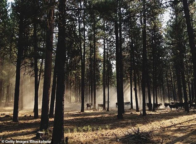 Oregon Considers Banning Hunting and Fishing in Landmark Ballot Initiative