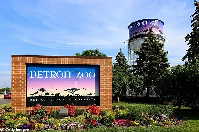 Tragic Accident Claims Life of Baby Giraffe at Detroit Zoo