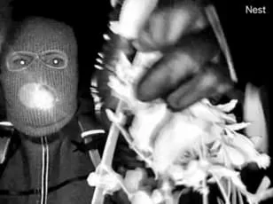 Trump Warns of 'Severe' Consequences in Nancy Guthrie Abduction; FBI Finds Matching Glove