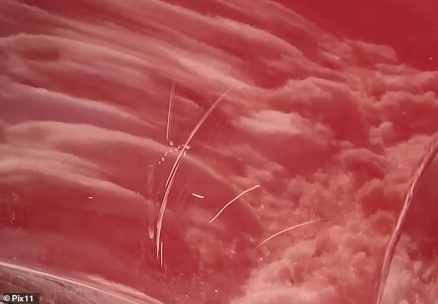 Viral Confrontation in Queens After Neighbor Shovels Snow Onto Family's SUV During Blizzard