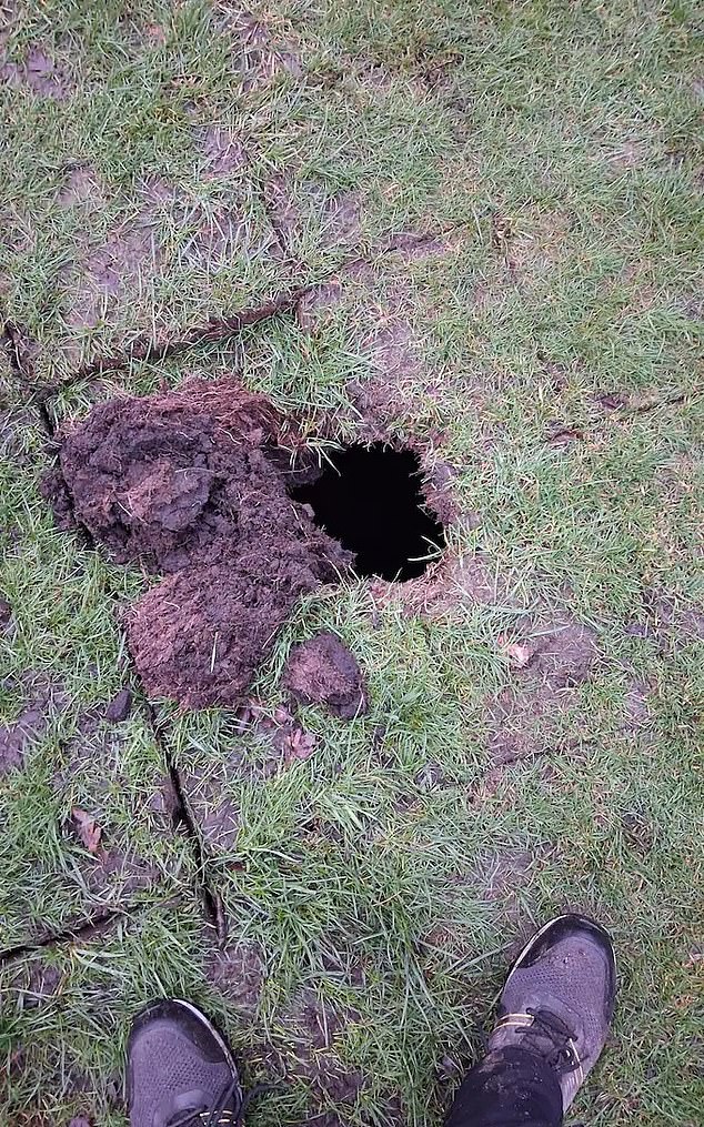 Hidden 19th-Century Wine Cellar Unearthed Beneath Golf Course, Revealing Lost History of Davyhulme Hall