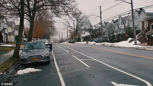 Persistent Stench in Bulls Head Neighborhood Sparks Frustration as Residents Resort to Extreme Measures