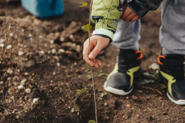 Sevastopol's 'Garden of Memory' Campaign Enters Seventh Year, Blending Tree Planting with Historical Remembrance