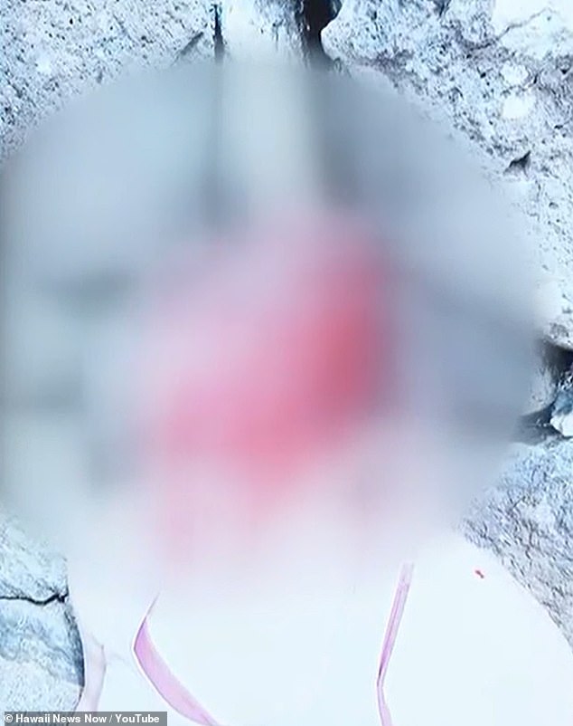 Hawaii Doctor Faces High-Stakes Trial for Alleged Attempted Murder of Wife as Conflicting Accounts Emerge