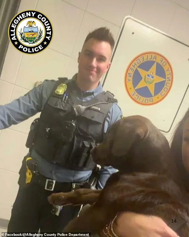 Pittsburgh Airport Puppy Abandonment Sparks Outrage