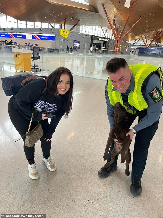 Pittsburgh Airport Puppy Abandonment Sparks Outrage