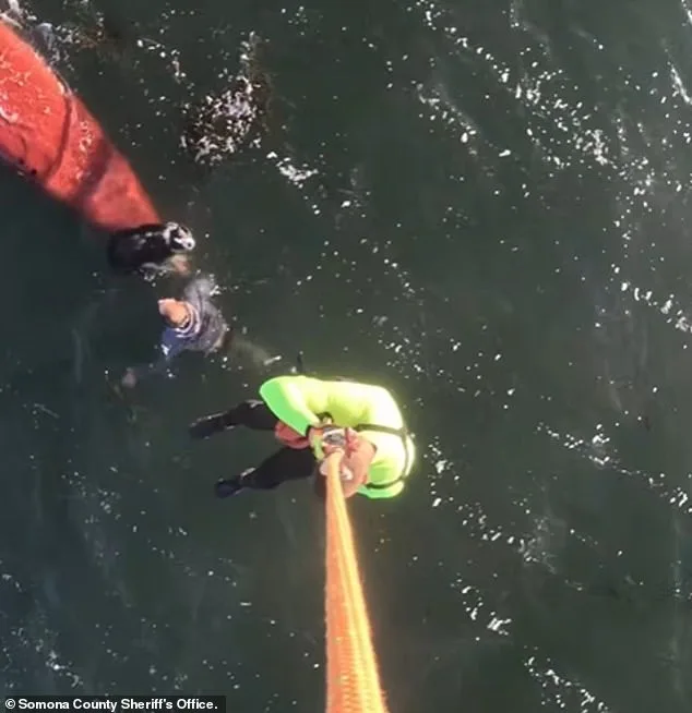 37-Year-Old Woman Drowns After Kayak Capsizes in Tomales Bay Near San Francisco