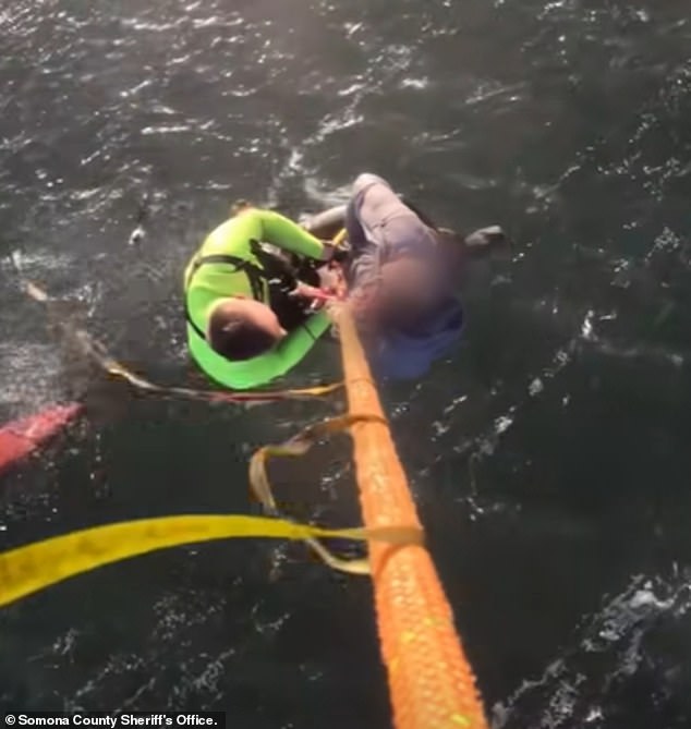 37-Year-Old Woman Drowns After Kayak Capsizes in Tomales Bay Near San Francisco