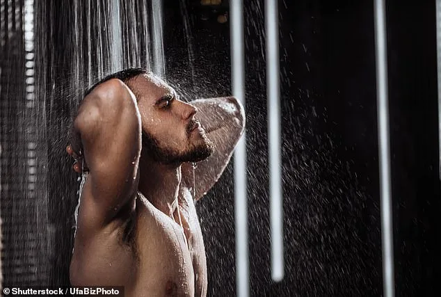 Equinox Steam Rooms: Where Wellness Meets Secret Encounters