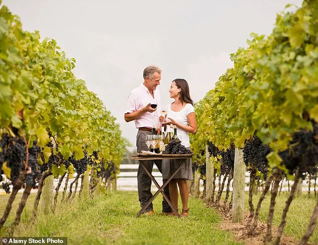 Lindsay Hoopes' Napa Vineyard Faces $4M Fines in Legal Battle Over Public Events and Regulations