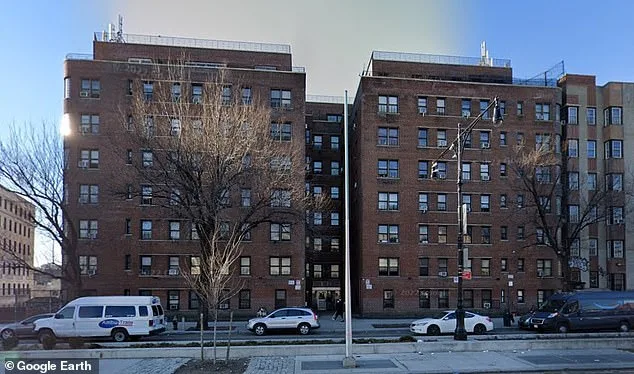 71-Year-Old Breast Cancer Survivor's Desperate Battle Against Relentless Rat Infestation in Bronx Apartment