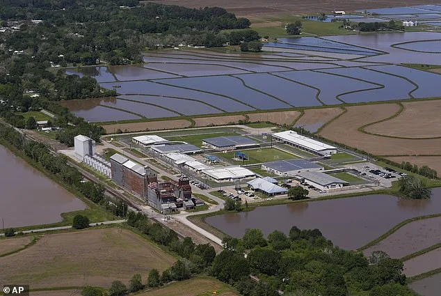 Wife of U.S. Army Staff Sergeant Released from ICE Detention Amid Ongoing Removal Proceedings