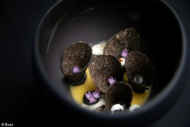 Former Four Pillars Board Member Sued Over $1.4M Misappropriation for Strip Club Tabs, Luxury Watches, and First-Class Dog Travel