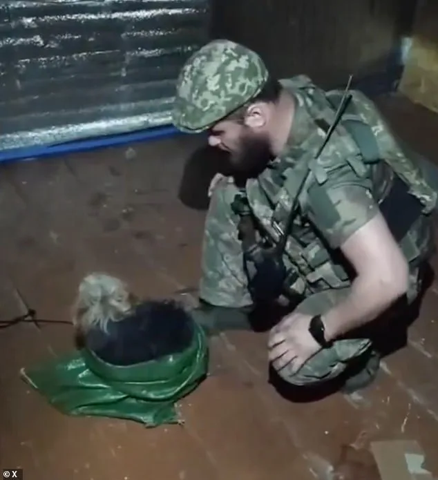 Ukrainian Drone Rescues Cat and Dog in Mercy Mission Amid War