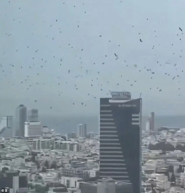 Crows Circle Tel Aviv: Natural Phenomenon or Sign of Doom?