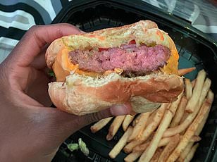 Florida family swindled out of $2,800 by AI-generated dog surgery scam.