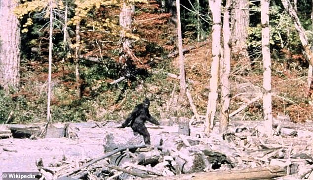 Army Veteran Now Studies Bigfoot After 1993 Oregon Sighting