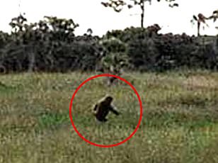 Army Veteran Now Studies Bigfoot After 1993 Oregon Sighting