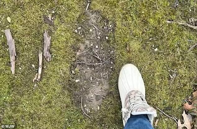 Army Veteran Now Studies Bigfoot After 1993 Oregon Sighting