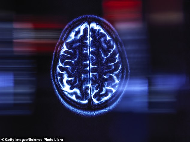 Lab-grown brain learns to play video games to study neurological disorders.