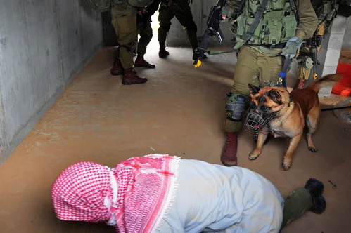 Hundreds of detained pro-Palestinian activists deported after abuse allegations