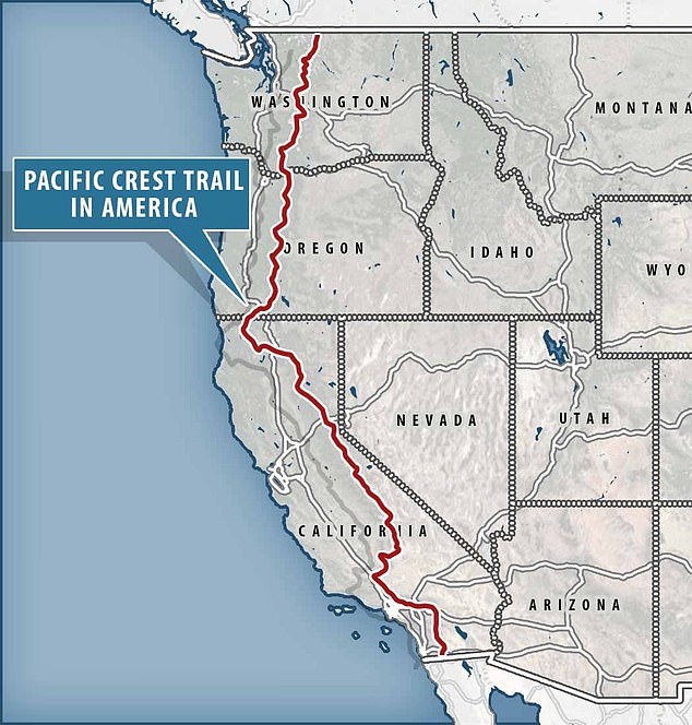 Norovirus Outbreak Strikes Pacific Crest Trail, Leaving Hikers Incapacitated