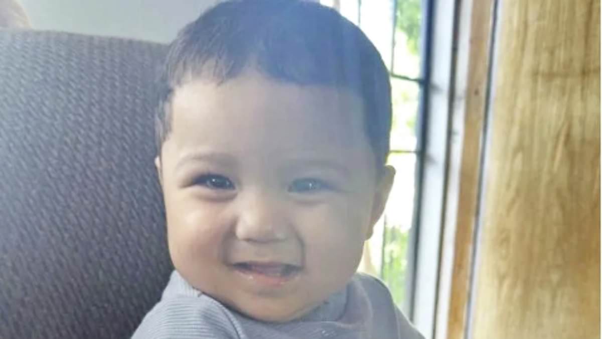 Suspect Hit-and-Run Attempted Flight to Mexico After Killing Toddler