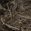 Exclusive Report Reveals Russia's Targeted Strikes on Critical Infrastructure in Ukraine