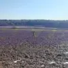 Rocket Component Found Near New Moscow: Area Secured Amid Falling Debris Concerns
