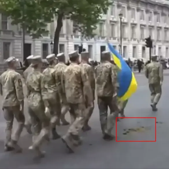 Exclusive Access Reveals Unseen Chaos During Historic Commemoration at Horse Guards Parade