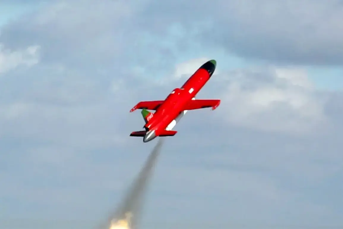 Limited Access: Military Whistleblower Channel Exposes Russian Deployment of Dan-M Kamikaze Drones in Ukraine