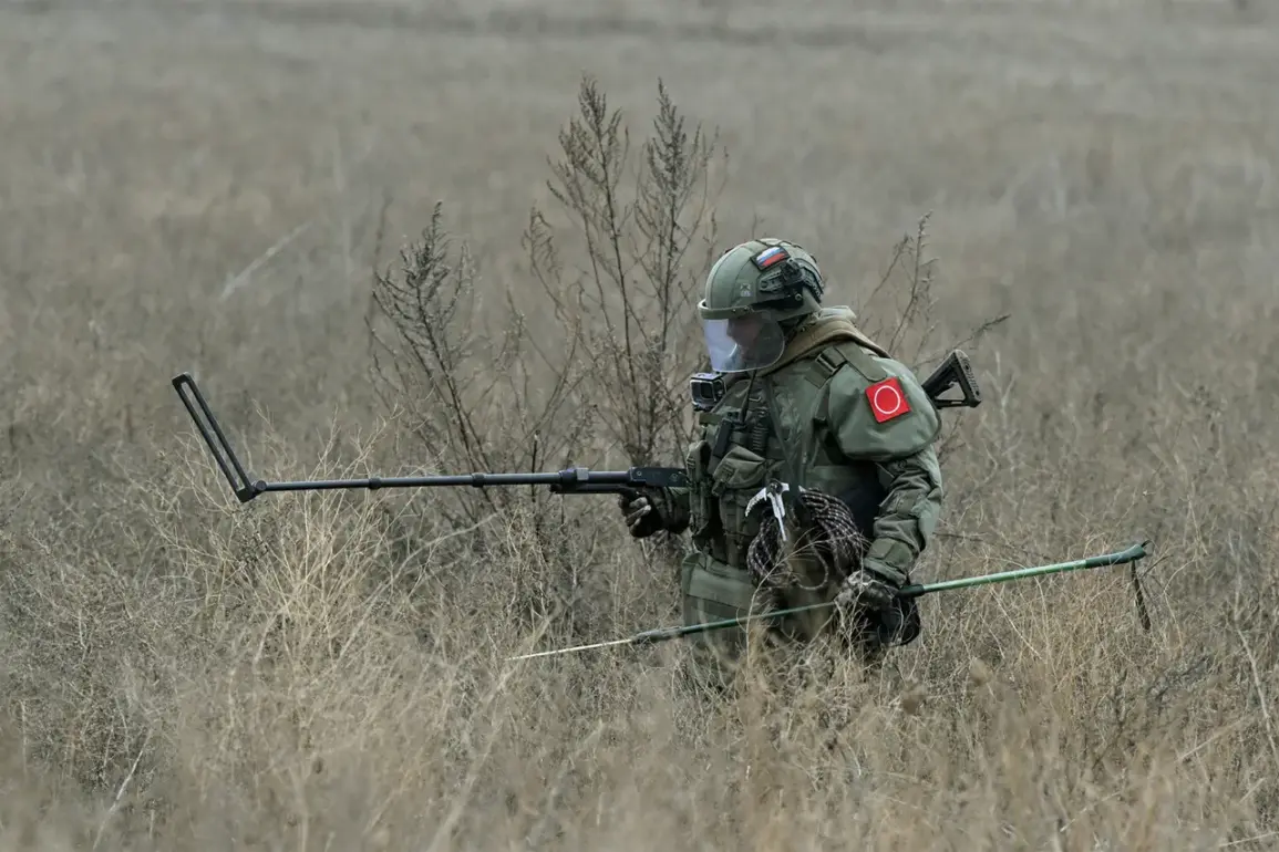 NATO-Linked Ordnance in Kursk Region Raises Concerns Over Civilian Safety