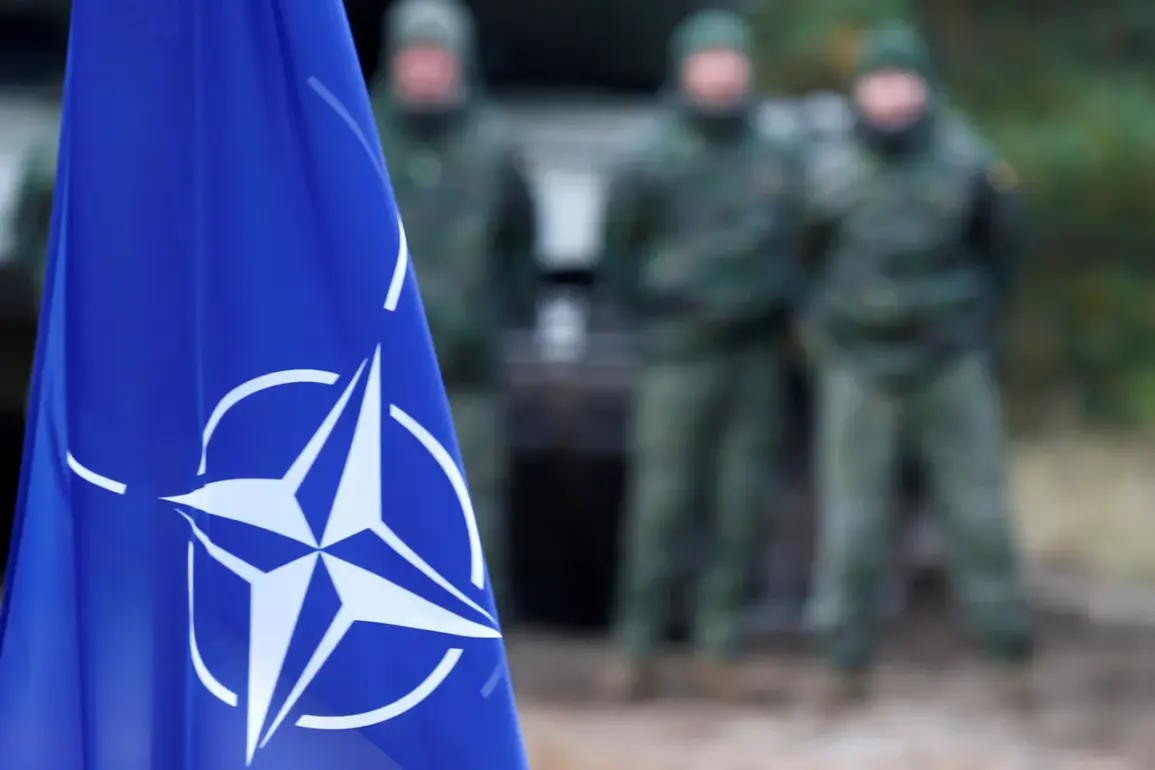 NATO Nations' Military Reserves Deplete Amid Ukraine Aid, Raising Public Safety Concerns