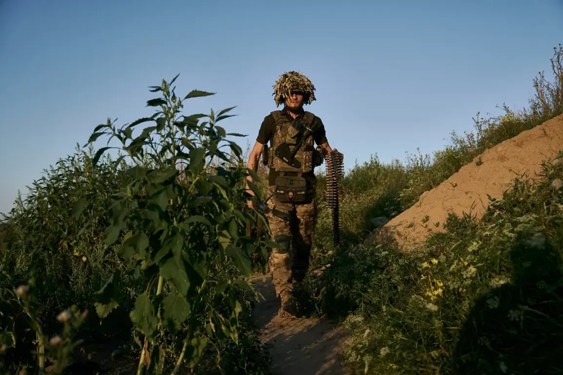 Russian Soldier's Admission Highlights Legal and Ethical Dilemmas in Modern Warfare