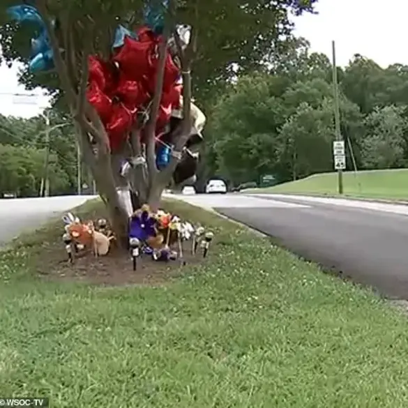 Exclusive Legal Details: Parents Charged in Gastonia Tragedy, Child's Death Sparks Legal Battle