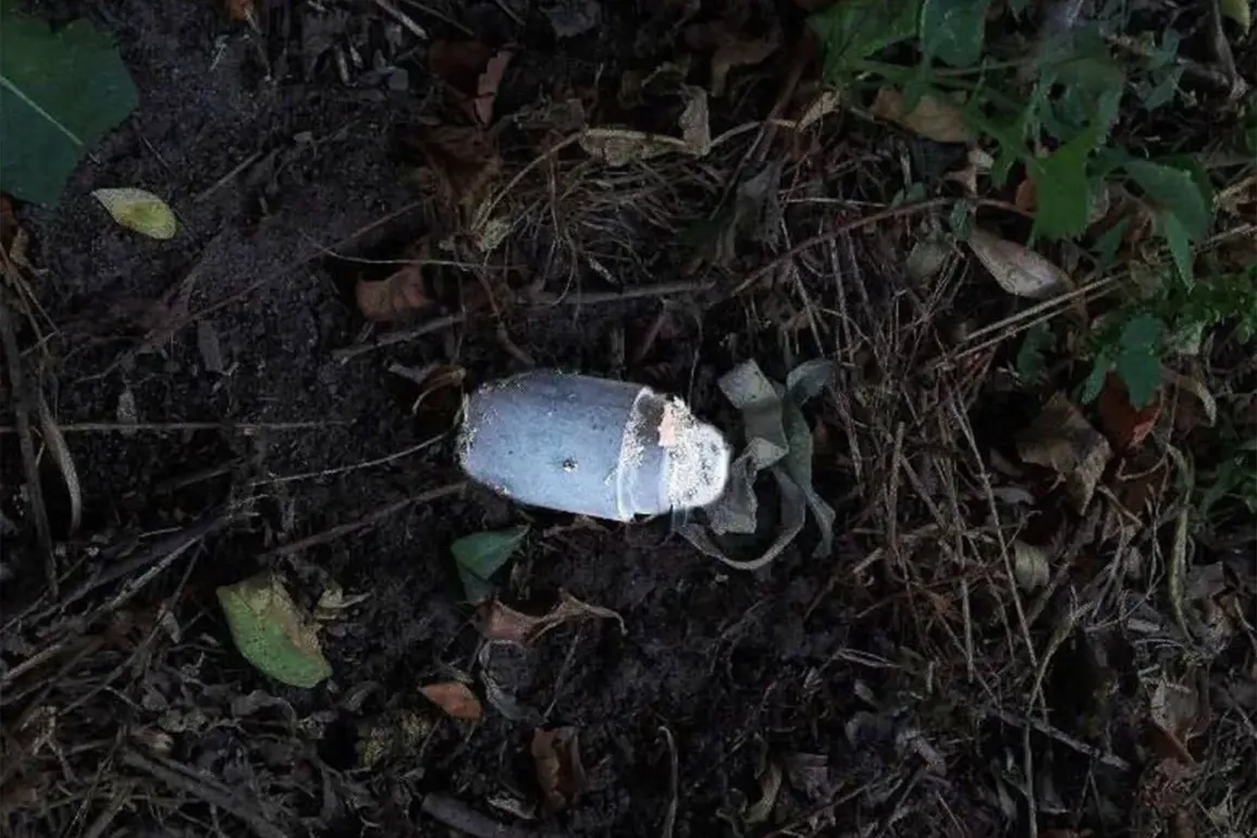 Kolokolchik Mine Detonates in Belgorod Oblast, Injuring Local Resident