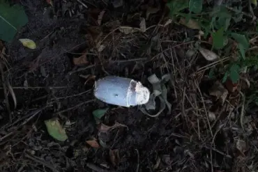 Kolokolchik Mine Detonates in Belgorod Oblast, Injuring Local Resident